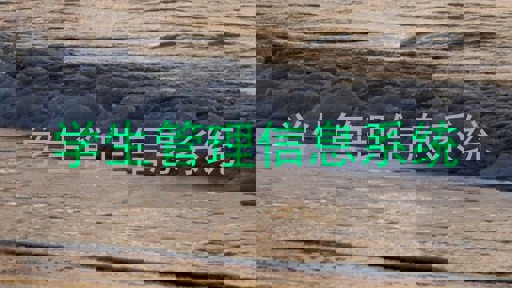学生管理信息系统