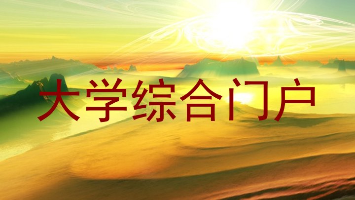 大学综合门户