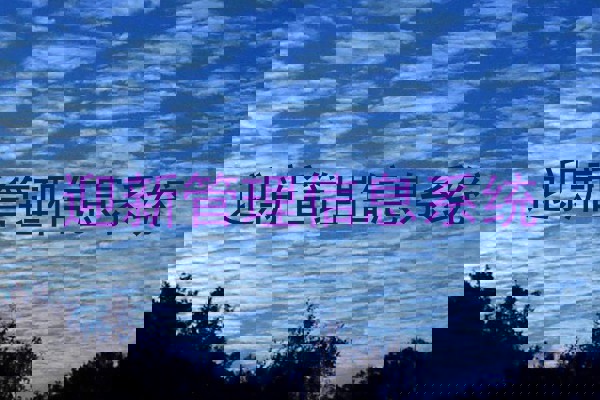 迎新管理信息系统