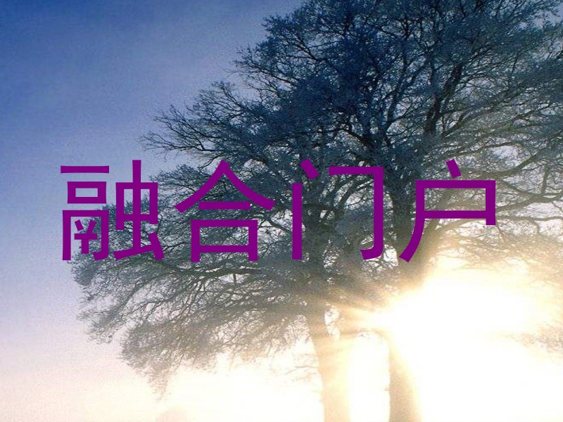 融合门户