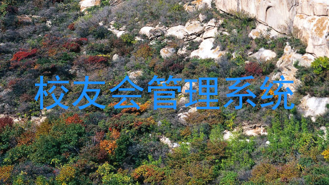 校友会管理系统