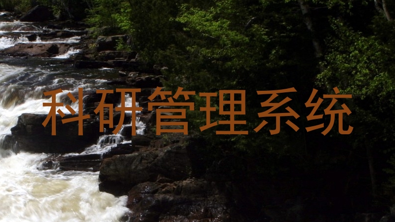 科研管理系统