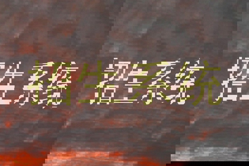 招生系统