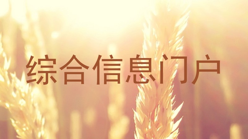 综合信息门户