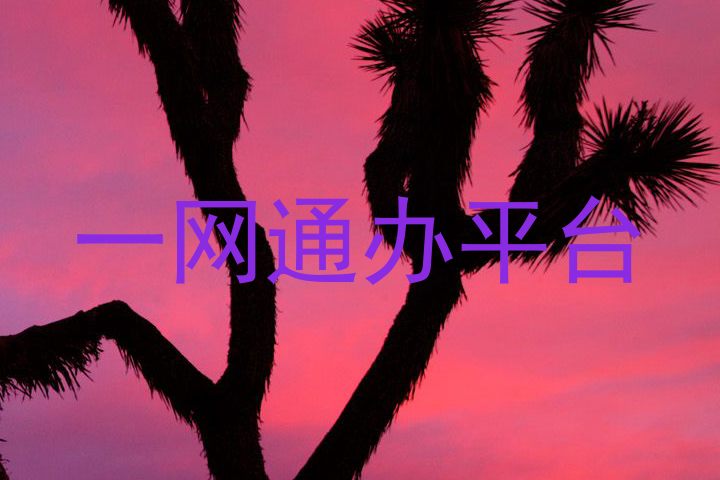一网通办平台