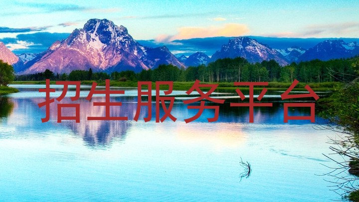 招生服务平台