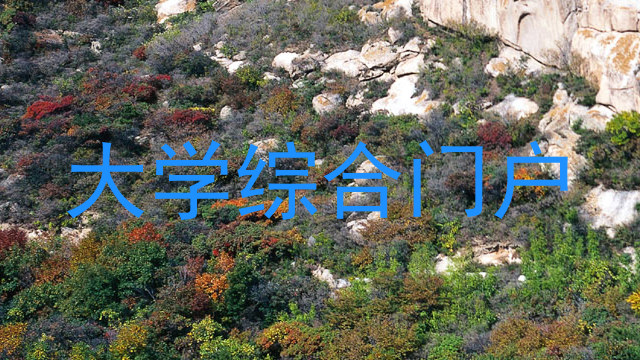 大学综合门户