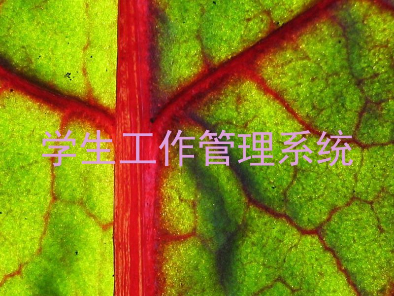 学生工作管理系统