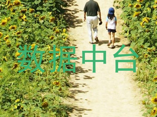 数据中台