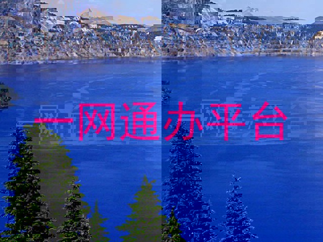 一网通办平台
