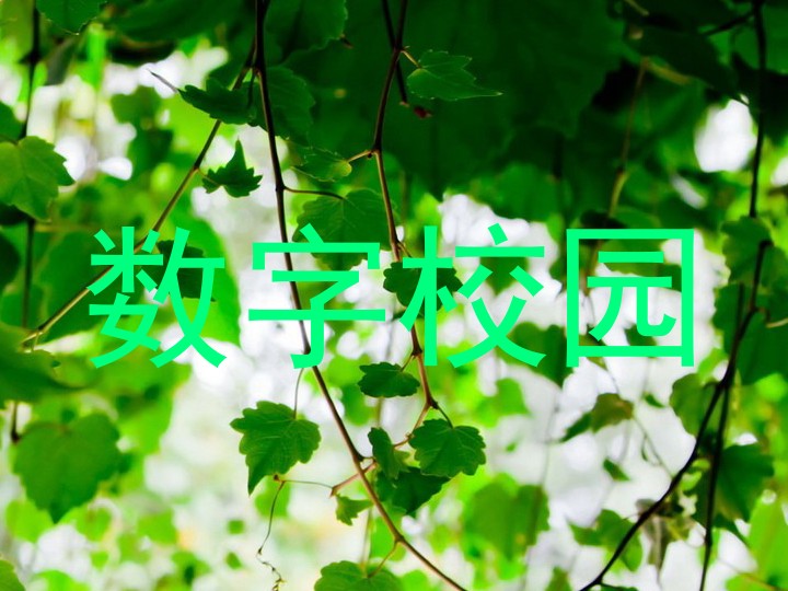 数字校园