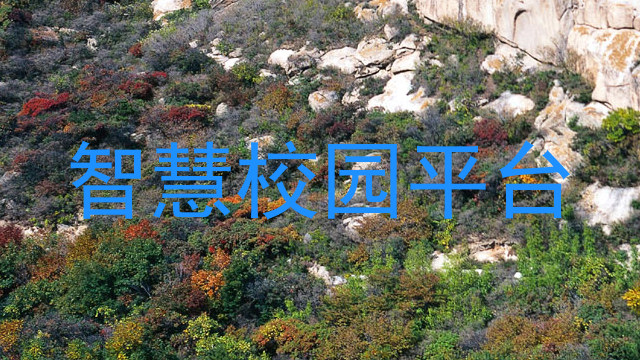 智慧校园平台