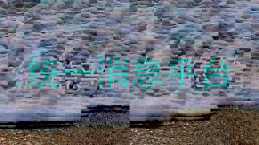 统一消息平台