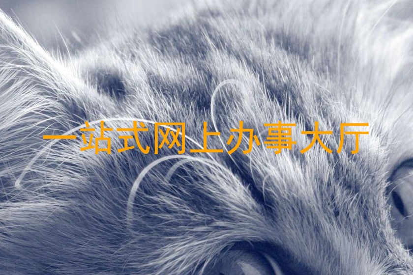 一站式网上办事大厅