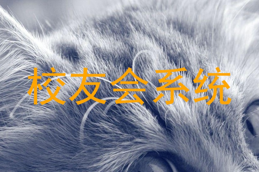 校友会系统