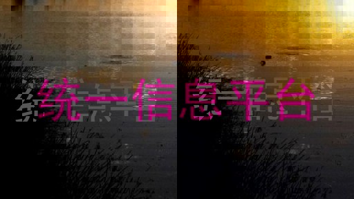 统一信息平台