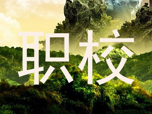 职校