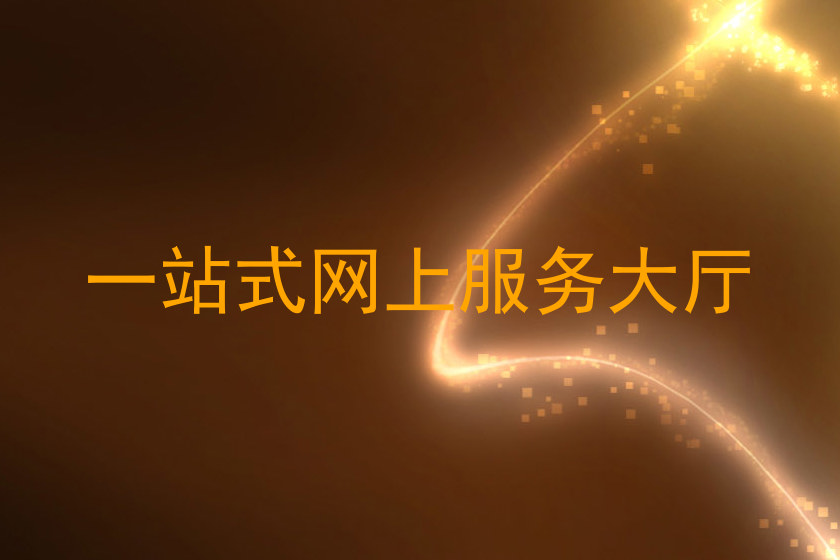 一站式网上服务大厅