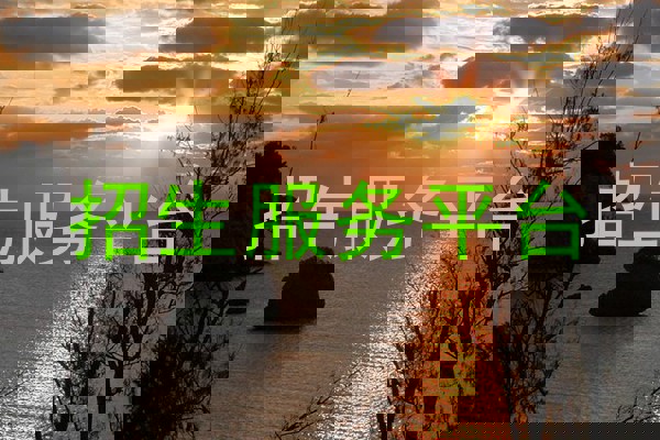 招生服务平台