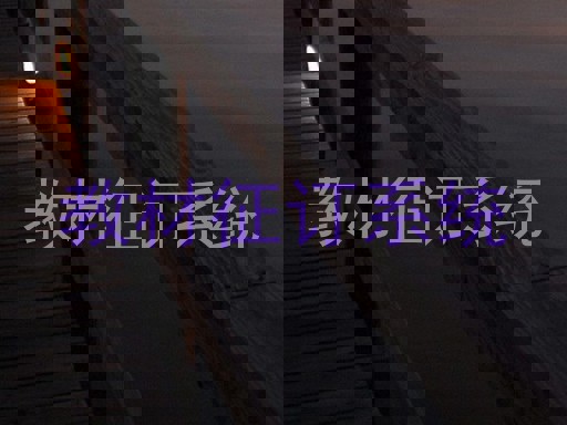 教材征订系统