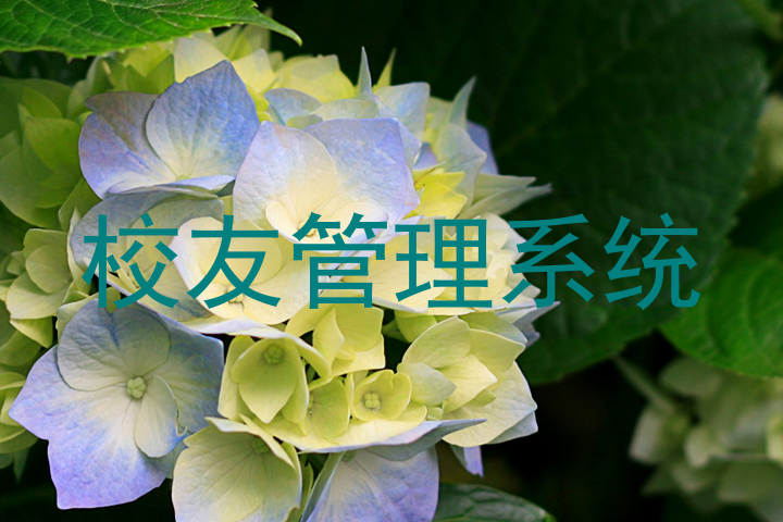 校友管理系统