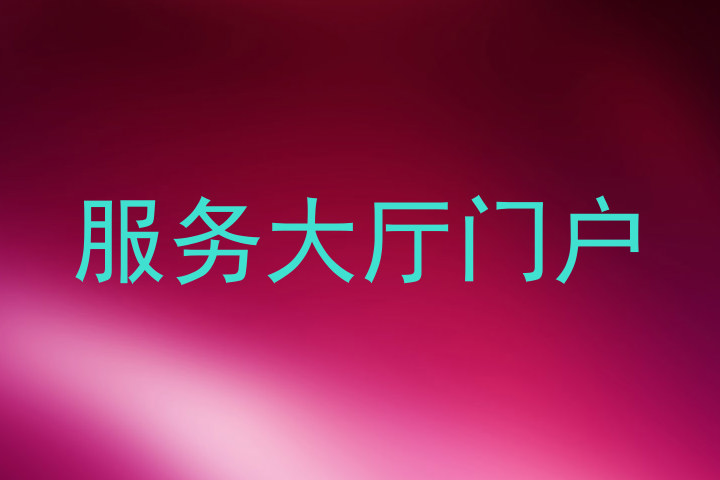 服务大厅门户