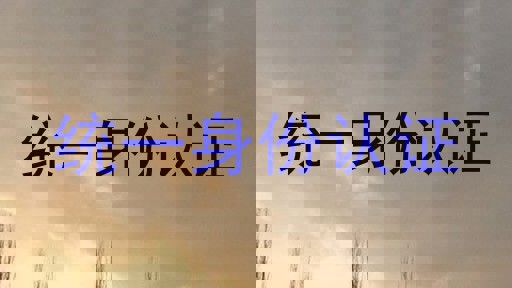 统一身份认证
