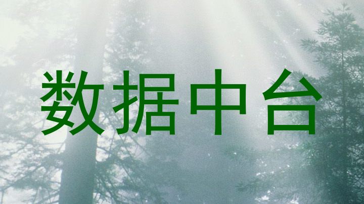 数据中台