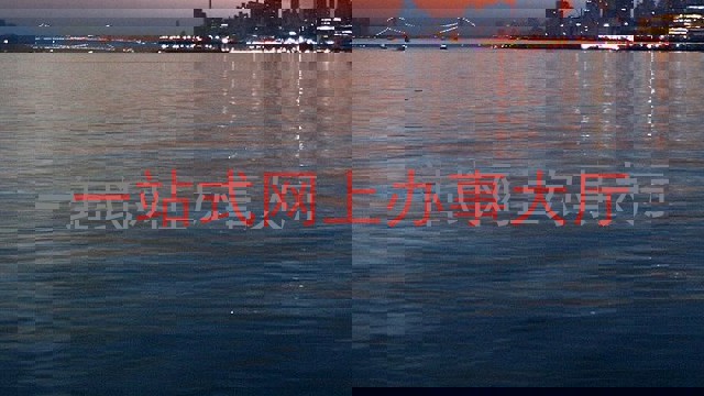 一站式网上办事大厅