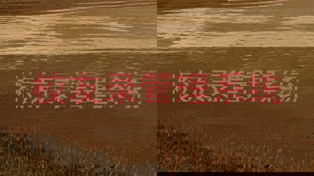 校友录管理系统