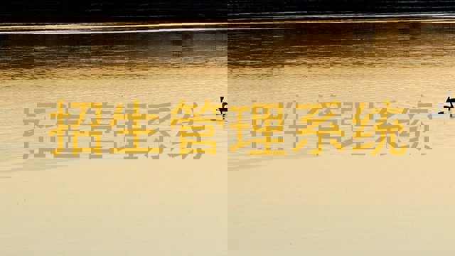 招生管理系统