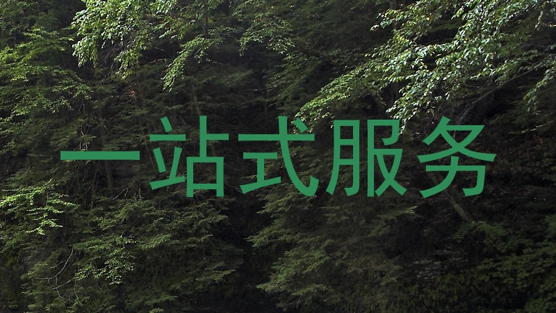一站式服务