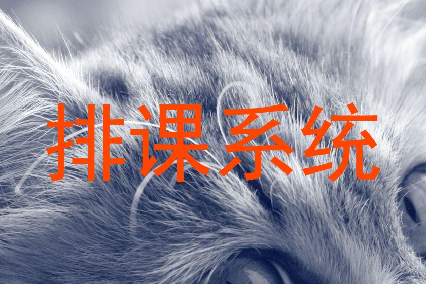 排课系统