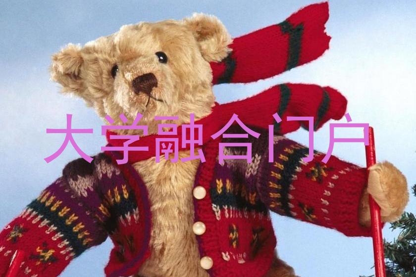 大学融合门户