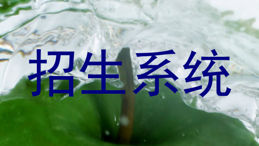 招生系统