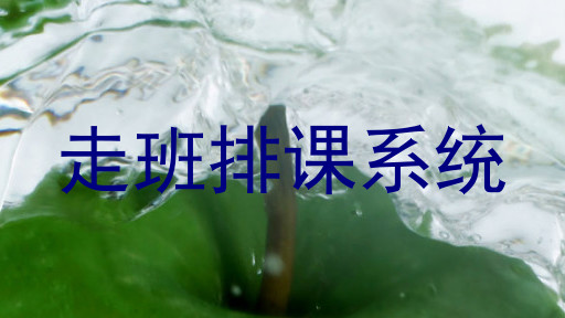 走班排课系统