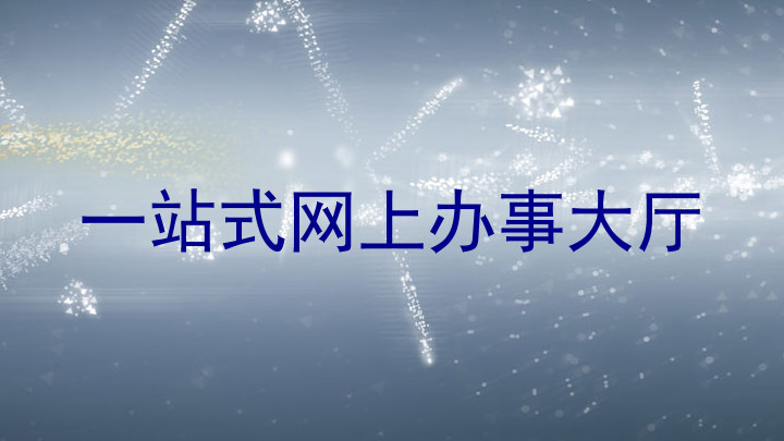 一站式网上办事大厅