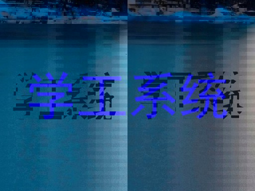 学工系统