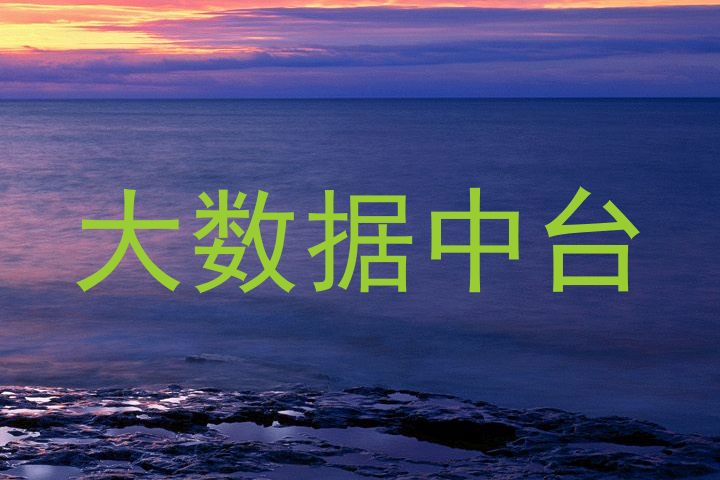 大数据中台