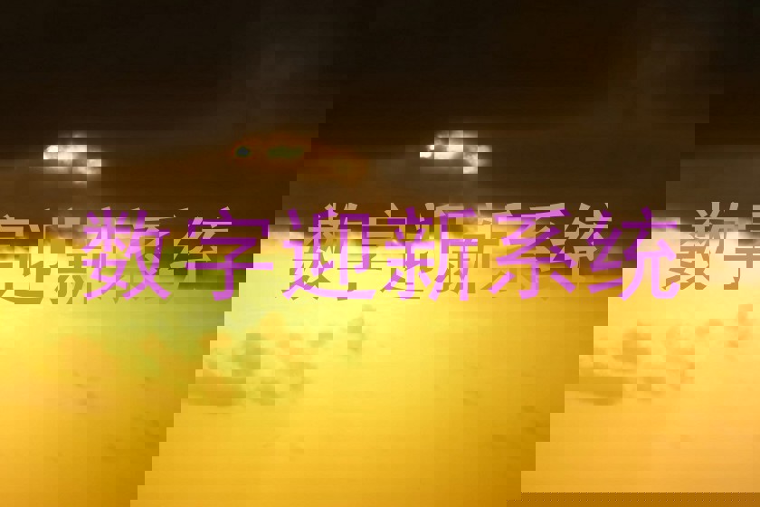 数字迎新系统