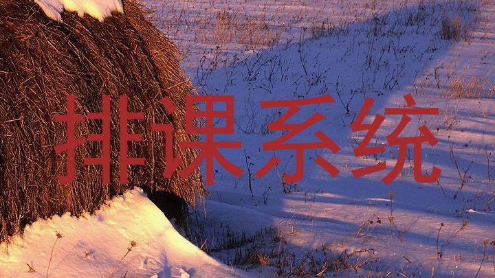 排课系统