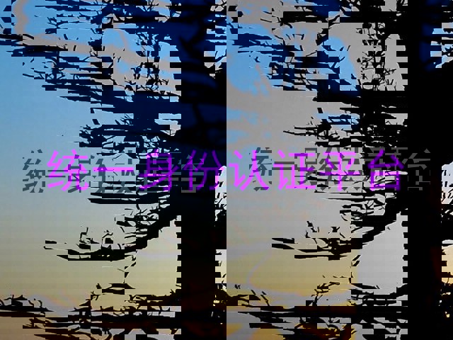 统一身份认证平台