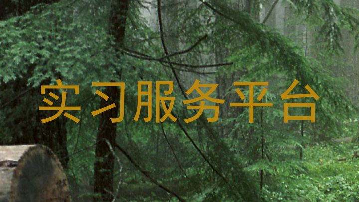 实习服务平台
