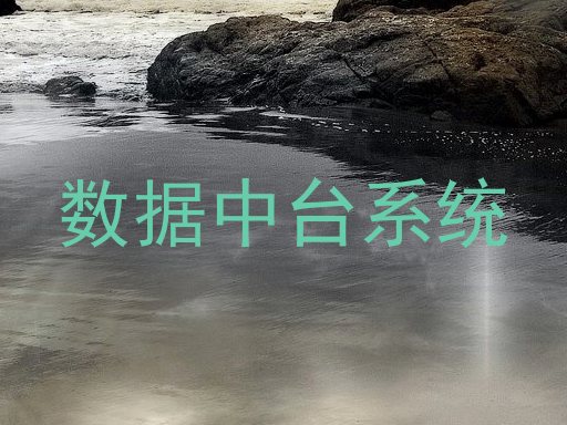 数据中台系统