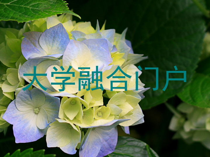 大学融合门户