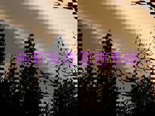 科研信息管理系统