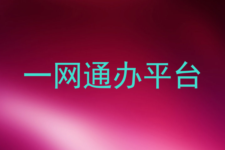 一网通办平台