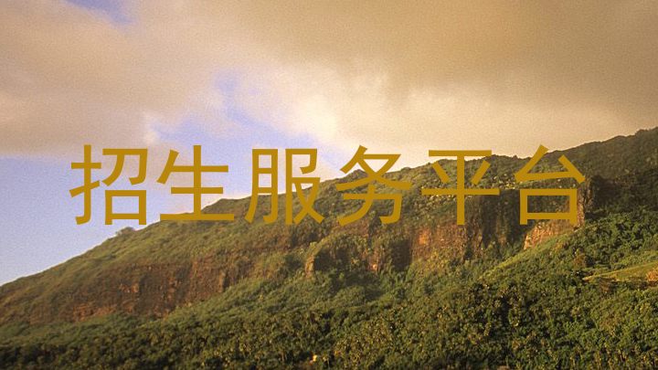 招生服务平台