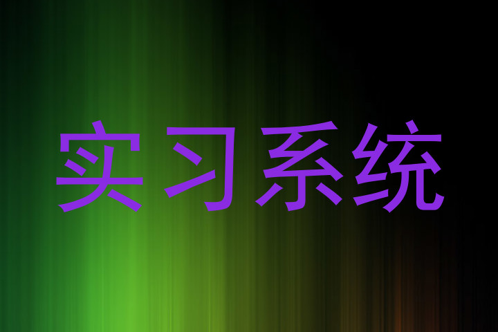 实习系统