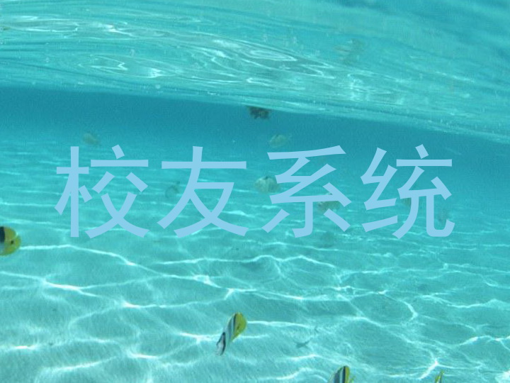 校友系统